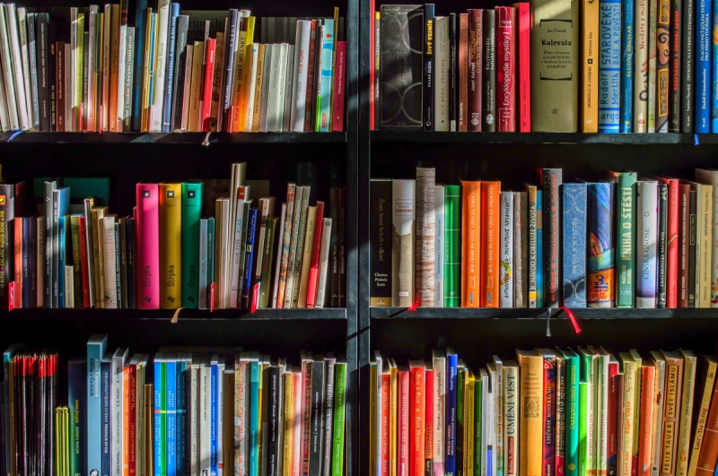 boutique-CARROS-min_books_bookstore_book_reading_shop_writer_sale_books_read-822866